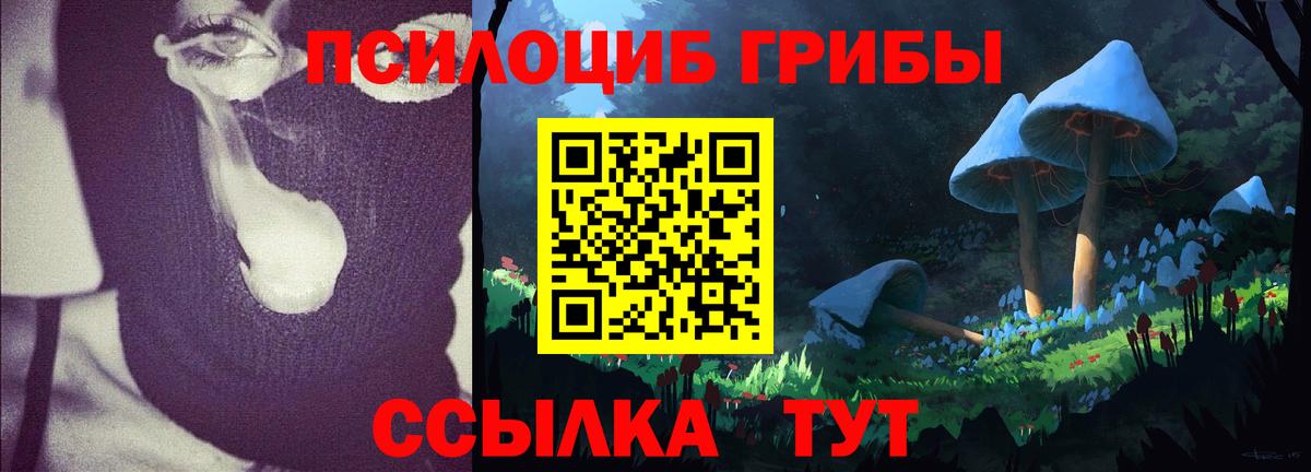 Саяногорск  Галлюциногенные грибы ЛСД  Псилоцибиновые грибы ЛСД  Вход с VPN 
